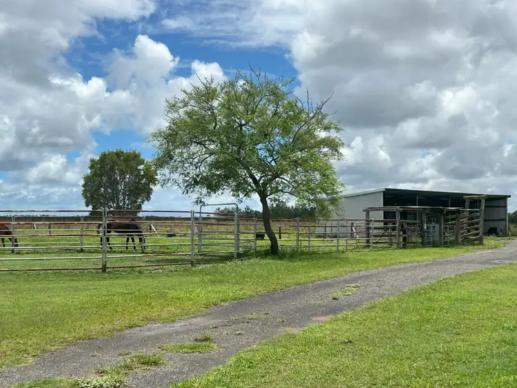 Sixth view of Homely rural property listing, 366 Tolls Road, Welcome Creek QLD 4670