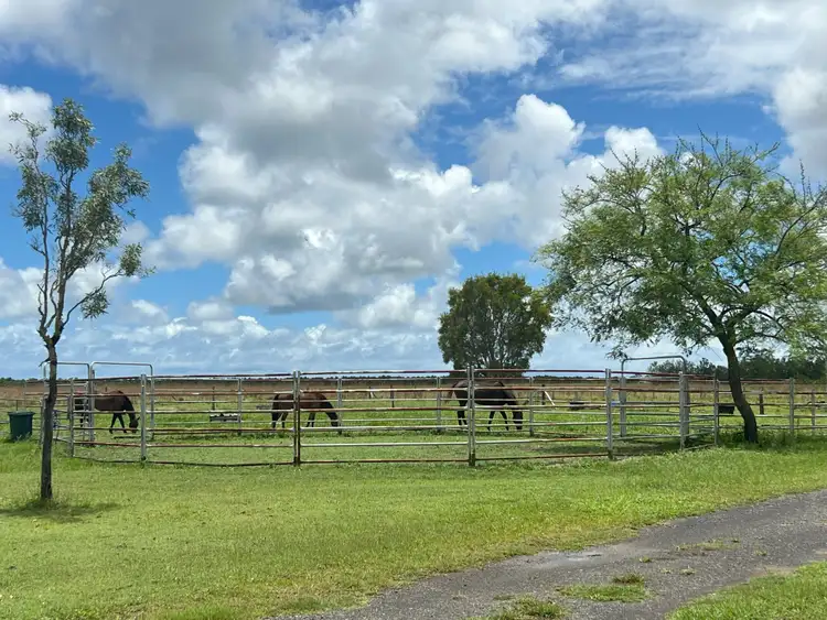 Seventh view of Homely rural property listing, 366 Tolls Road, Welcome Creek QLD 4670