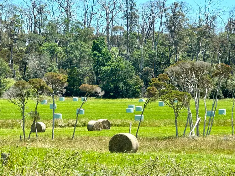 Second view of Homely rural property listing, 2431 Bridport Road, Bridport TAS 7262