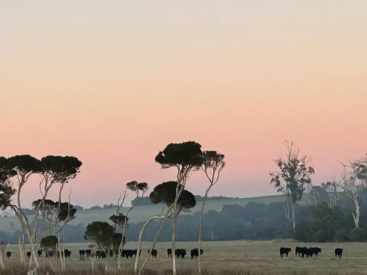 Fourth view of Homely rural property listing, 2431 Bridport Road, Bridport TAS 7262