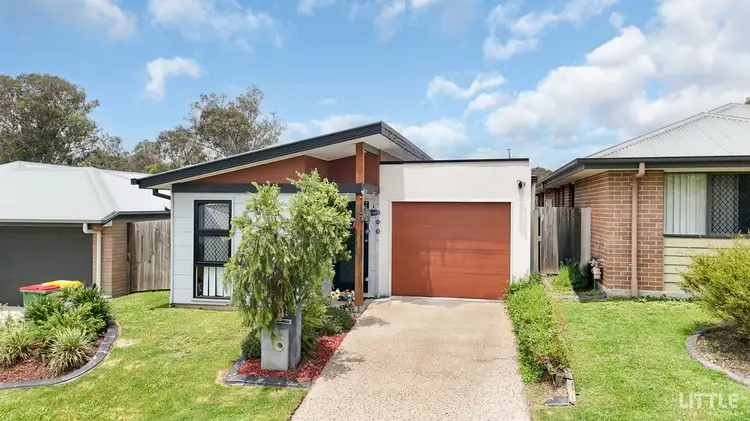 53 Tuckeroo Street, Ripley QLD 4306