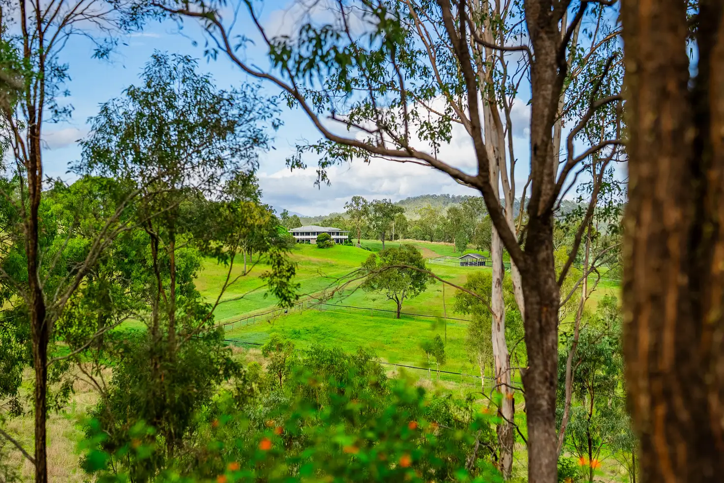 Main view of Homely rural property listing, 539 Oaky Creek Road, Oaky Creek QLD 4285