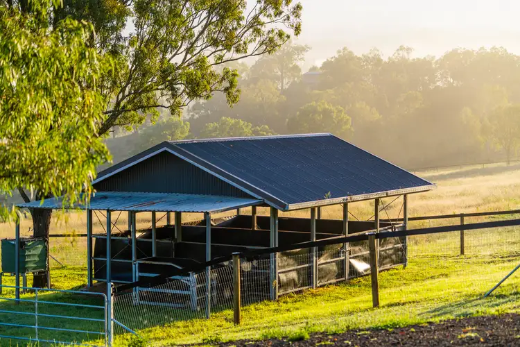 Fourth view of Homely rural property listing, 539 Oaky Creek Road, Oaky Creek QLD 4285