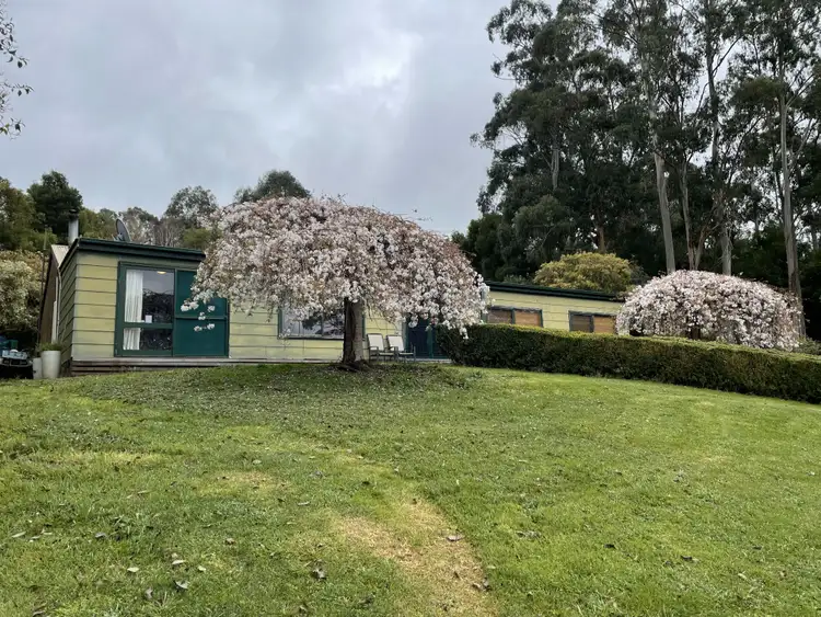 Second view of Homely rural property listing, 43 Johnsons Lane, Willung South VIC 3847