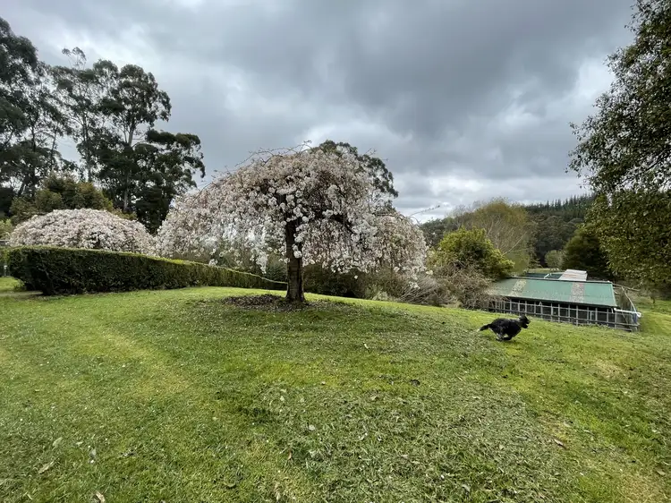 Fifth view of Homely rural property listing, 43 Johnsons Lane, Willung South VIC 3847