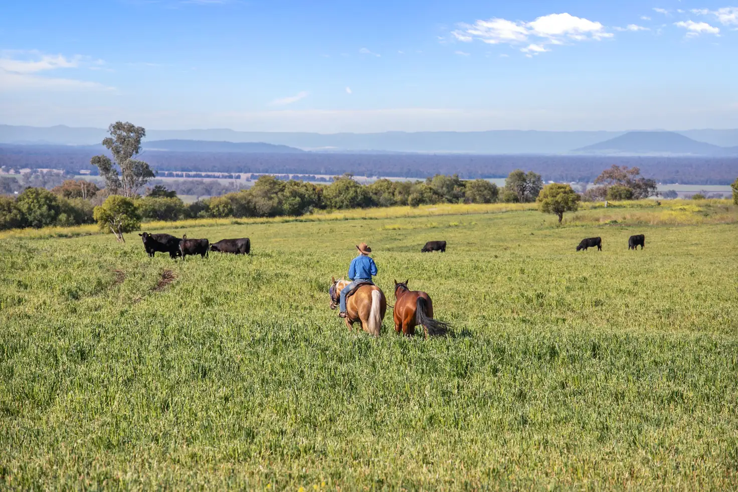 Main view of Homely rural property listing, "Glendon" 866 Keeches Road, Mullaley NSW 2379