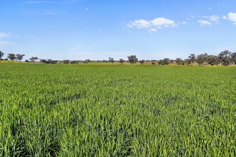 Fourth view of Homely rural property listing, "Glendon" 866 Keeches Road, Mullaley NSW 2379