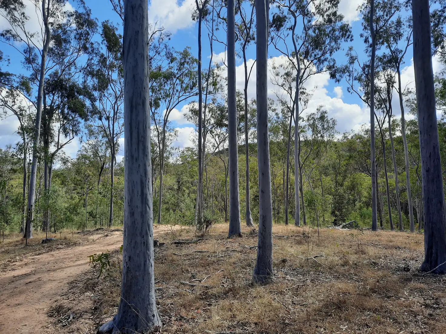 Main view of Homely land listing, 931 Nearum Rd, Nearum QLD 4671