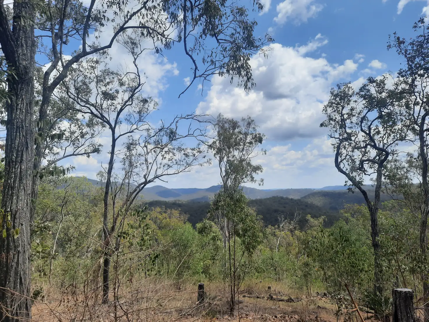 Main view of Homely land listing, 931 Nearum Rd, Nearum QLD 4671