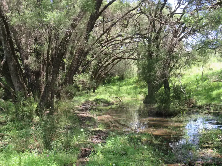Second view of Homely rural property listing, "Burnima" 121 Sheep Station Creek Rd, Bingara NSW 2404