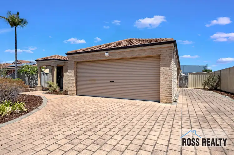 Main view of Homely house listing, 8 Sears Court, Morley WA 6062