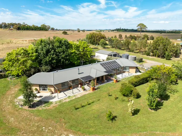 Main view of Homely house listing, 113 Forest Reefs Road, Millthorpe NSW 2798