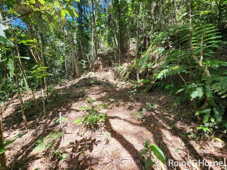Sixth view of Homely land listing, 6 Dean Road, Bamboo QLD 4873