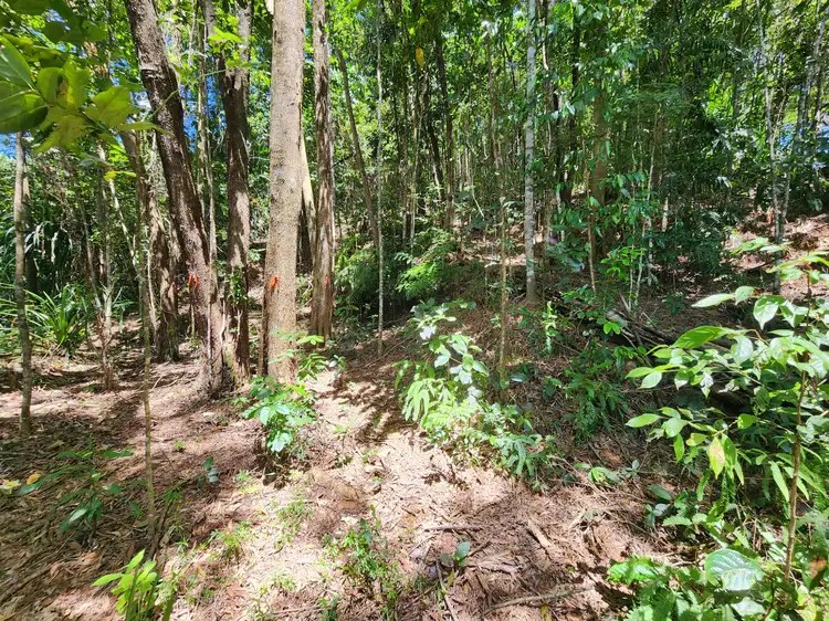 Seventh view of Homely land listing, 6 Dean Road, Bamboo QLD 4873