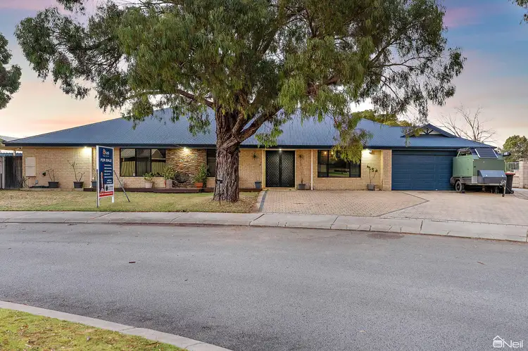Main view of Homely house listing, 12 Viana Loop, Seville Grove WA 6112