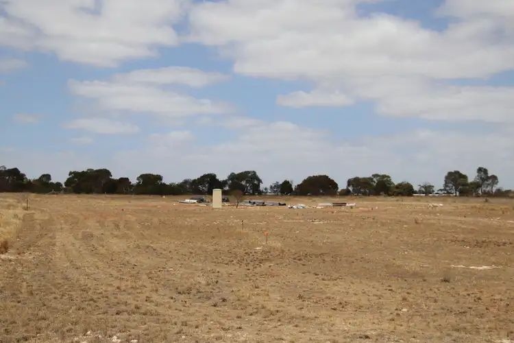 Seventh view of Homely land listing, Allotment 36 Big Olive Grove, Tailem Bend SA 5260