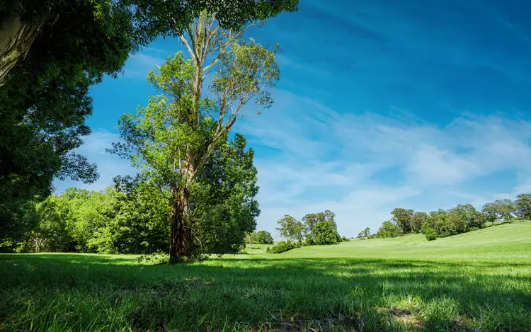Fifth view of Homely land listing, 62 Whistler Place, Bellingen NSW 2454