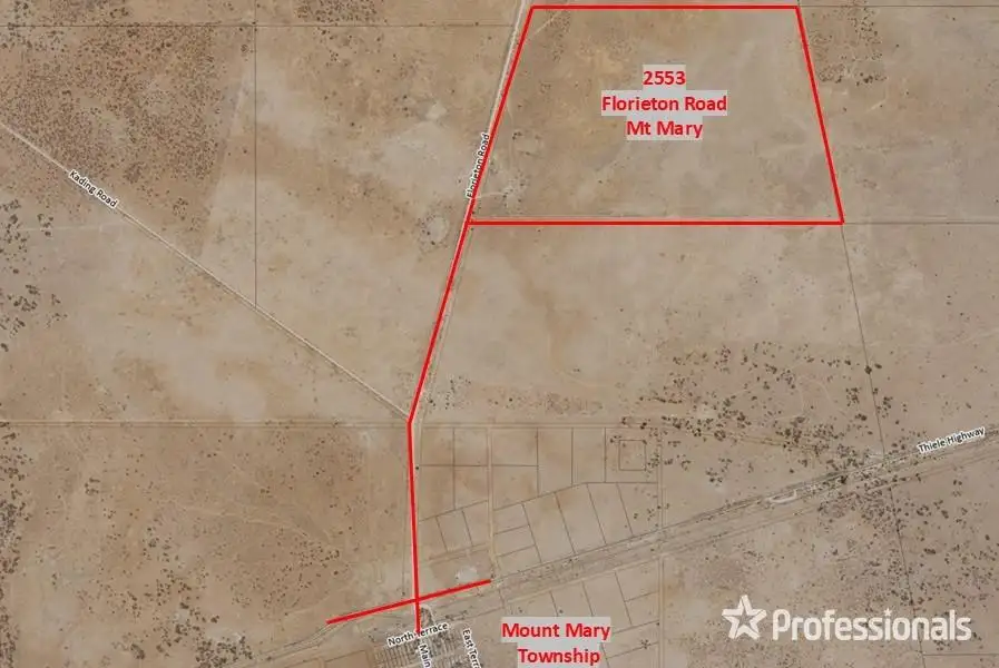 Main view of Homely rural property listing, 2553 Florieton Road, Mount Mary SA 5374