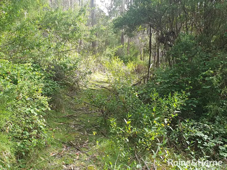 Fourth view of Homely land listing, 16 & 20 Russell Street, Gordon TAS 7150