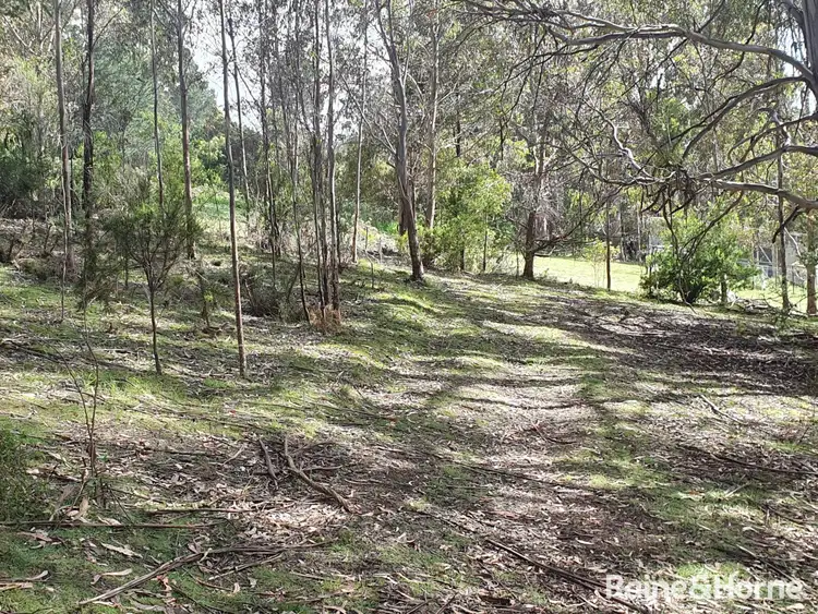 Sixth view of Homely land listing, 16 & 20 Russell Street, Gordon TAS 7150