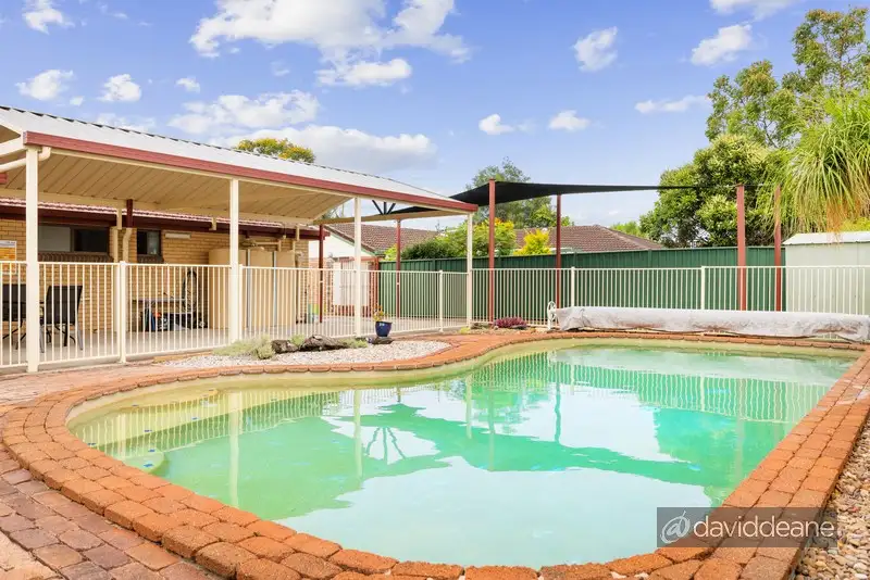 Main view of Homely house listing, 17 Salito Street, Carseldine QLD 4034