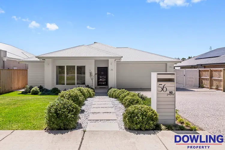 56 Western Road, Medowie NSW 2318