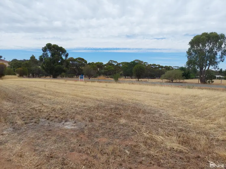 Main view of Homely land listing, 18 Channon Street, Williams WA 6391
