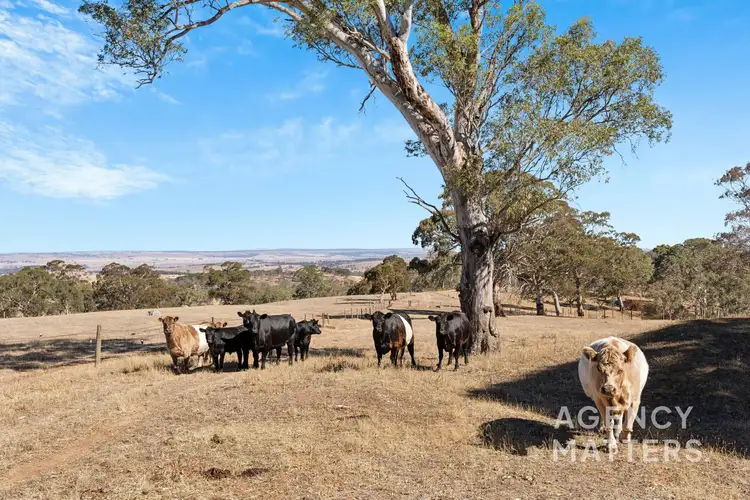 Third view of Homely rural property listing, 238 Harrogate Road, Brukunga SA 5252