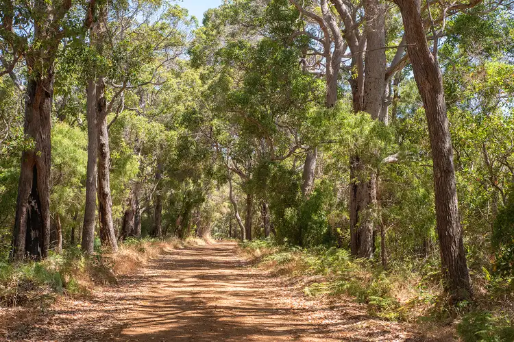 40 Ironmonger Road, Karridale WA 6288