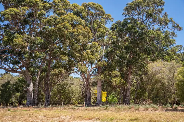 Third view of Homely land listing, 40 Ironmonger Road, Karridale WA 6288