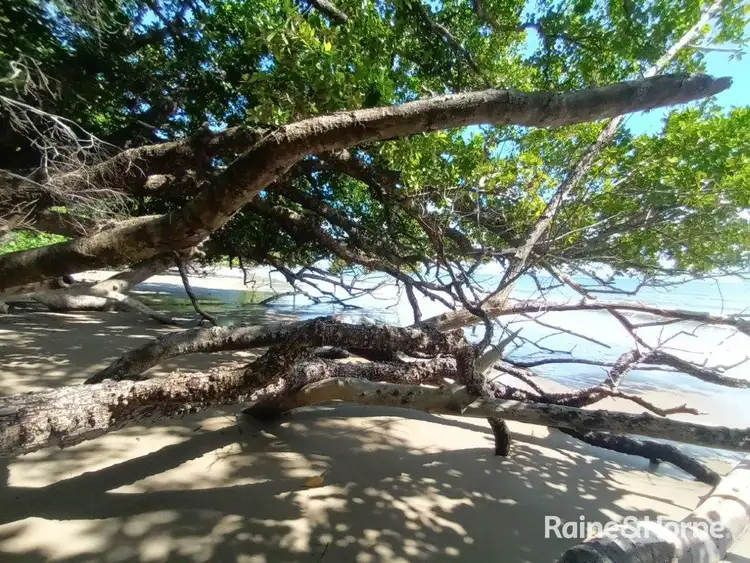 Sixth view of Homely land listing, Lot 2 Rykers Road, Cape Tribulation QLD 4873