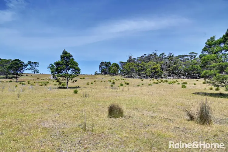 Main view of Homely land listing, Lot 1 Bresnehans Road, Little Swanport TAS 7190
