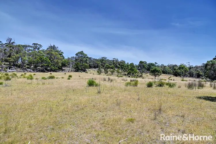 Second view of Homely land listing, Lot 1 Bresnehans Road, Little Swanport TAS 7190