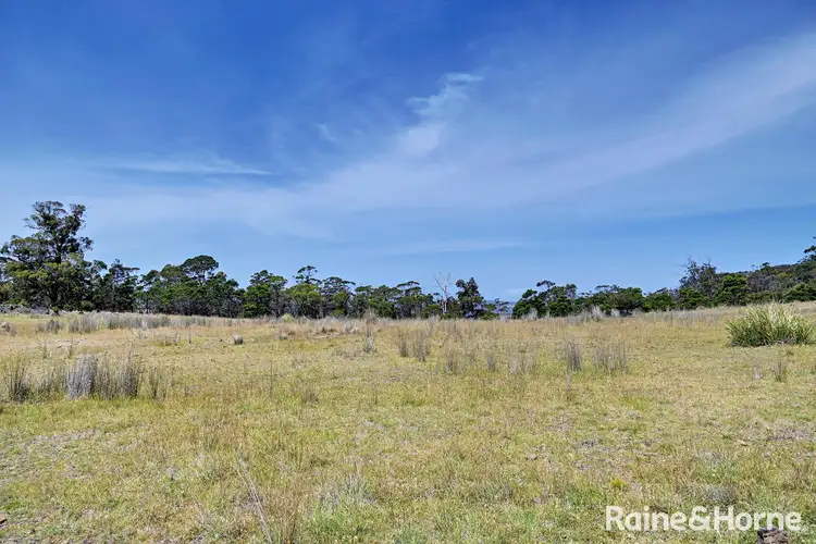 Fourth view of Homely land listing, Lot 1 Bresnehans Road, Little Swanport TAS 7190