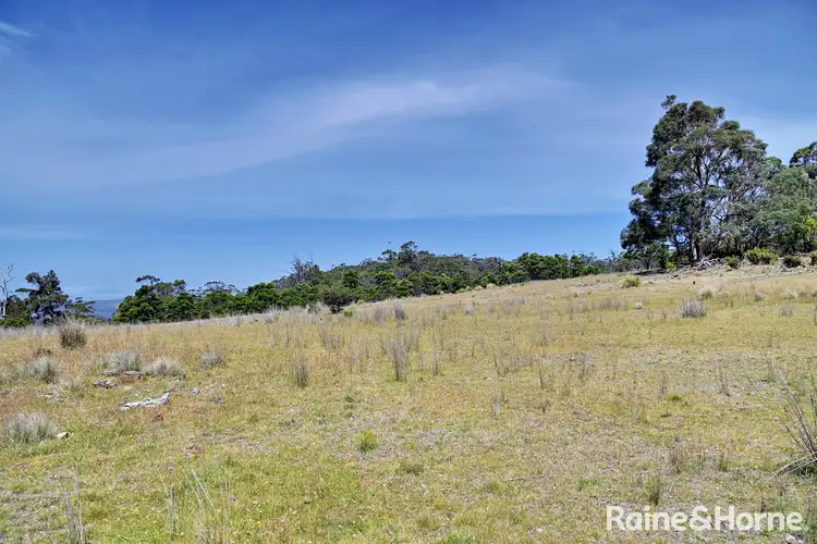 Fifth view of Homely land listing, Lot 1 Bresnehans Road, Little Swanport TAS 7190