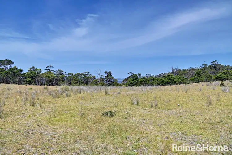 Sixth view of Homely land listing, Lot 1 Bresnehans Road, Little Swanport TAS 7190