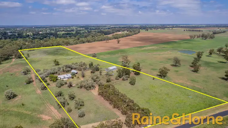 Main view of Homely rural property listing, 29 East Coonamble Road, Gilgandra NSW 2827