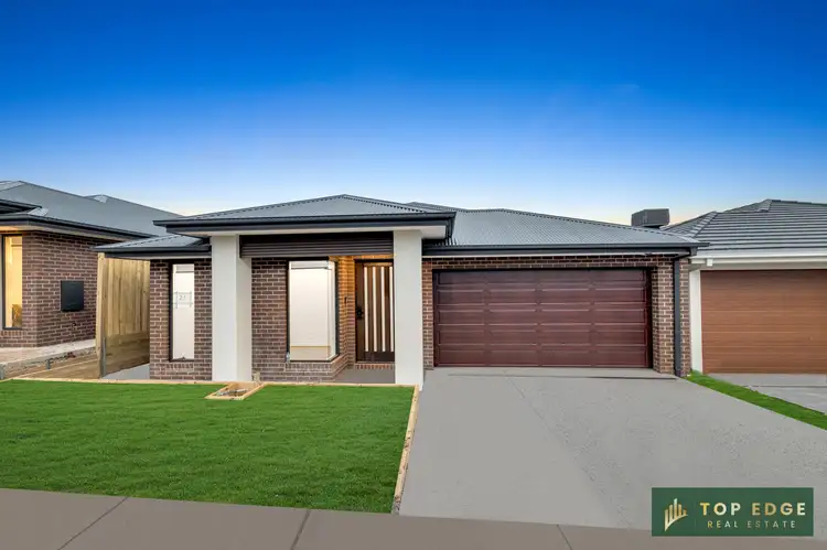 21 Papyrus Way