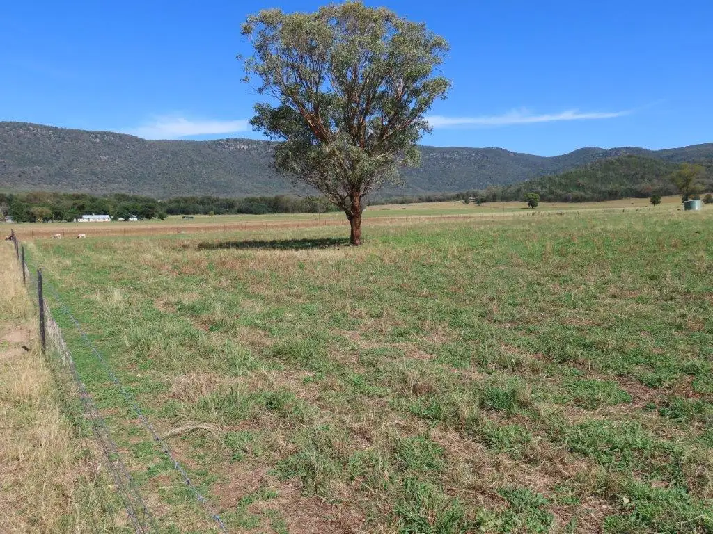 Main view of Homely rural property listing, "Glen Bovie" 272 Langens Lane, Tamworth NSW 2340