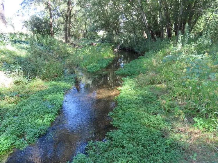 Fourth view of Homely rural property listing, "Glen Bovie" 272 Langens Lane, Tamworth NSW 2340