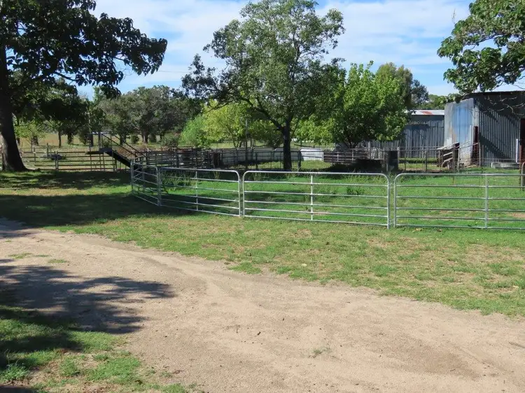 Fifth view of Homely rural property listing, "Glen Bovie" 272 Langens Lane, Tamworth NSW 2340