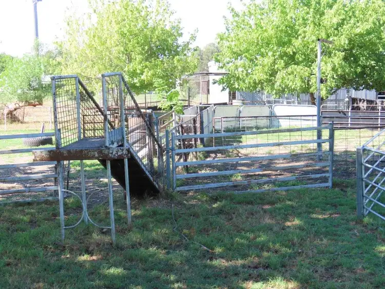 Seventh view of Homely rural property listing, "Glen Bovie" 272 Langens Lane, Tamworth NSW 2340