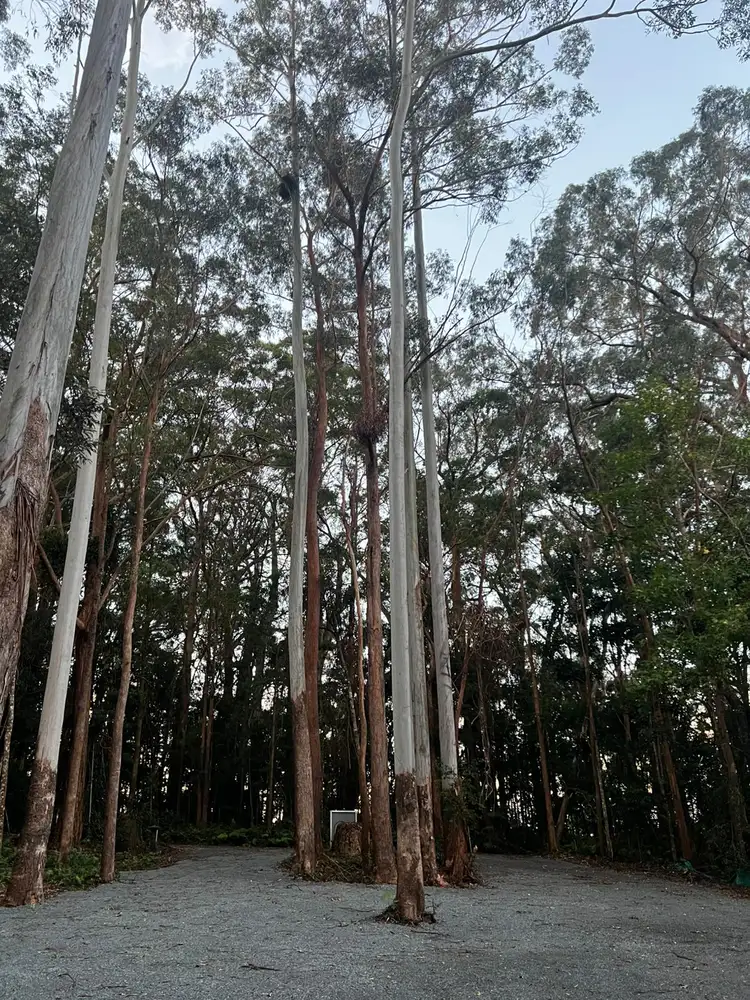 Sixth view of Homely land listing, 11 Gwongorella Parade, Springbrook QLD 4213