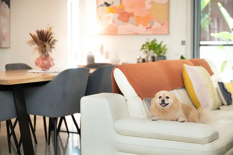 Fifth view of Homely townhouse listing, 19/66 Richmond Road, Morningside QLD 4170