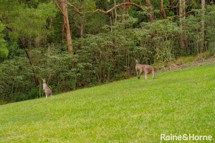 Seventh view of Homely land listing, 265B Bundewallah Road, Berry NSW 2535