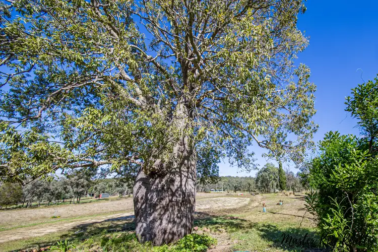 Third view of Homely rural property listing, Lot/3 Hivesville Road, Hivesville QLD 4612