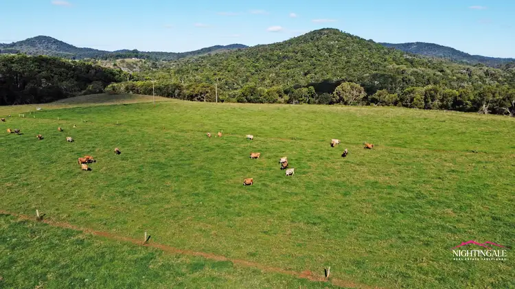 Sixth view of Homely rural property listing, 2381 Old Palmerston Highway, Ravenshoe QLD 4888