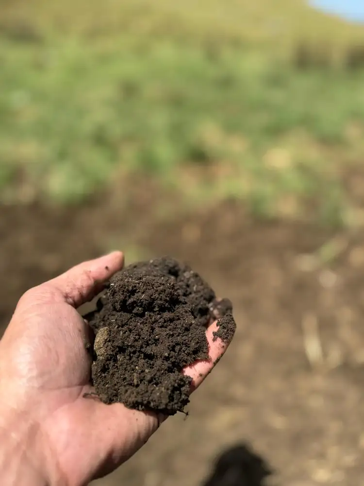 Fifth view of Homely rural property listing, "Springleigh" Terrible Vale Road, Kentucky NSW 2354