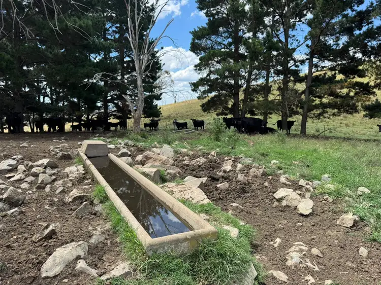 Sixth view of Homely rural property listing, "Springleigh" Terrible Vale Road, Kentucky NSW 2354