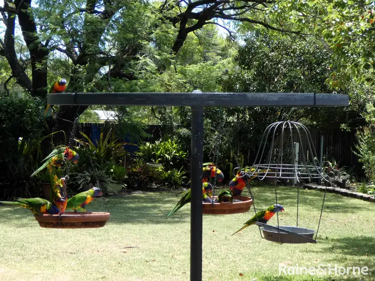 Fourth view of Homely house listing, 8 Crane Place, Moree NSW 2400